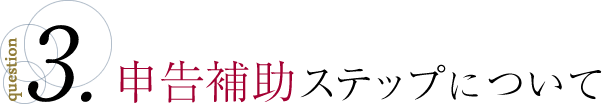 申告補助ステップについて